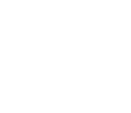 VISCERAL FAT