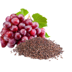 Grape Seed Extract