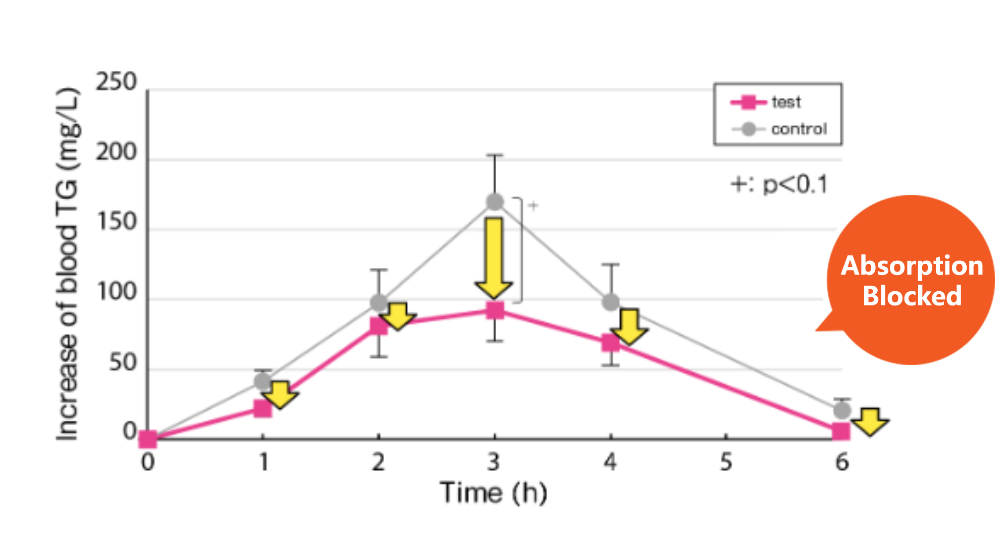 graph-weight-loss