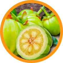 Garcinia Cambogia