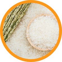 Rice Extract