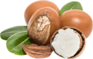 Butyrospermum Parkii (Shea Butter) Oil